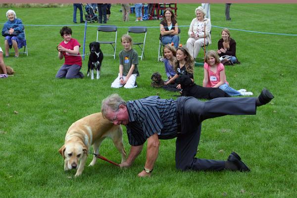 dogs 7.jpg